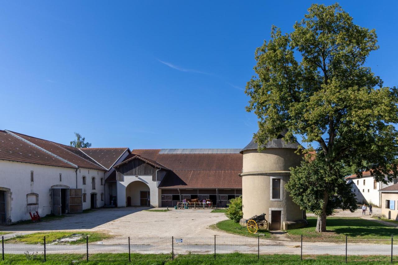 Hotel Du Chateau Villers-les-Nancy Luaran gambar